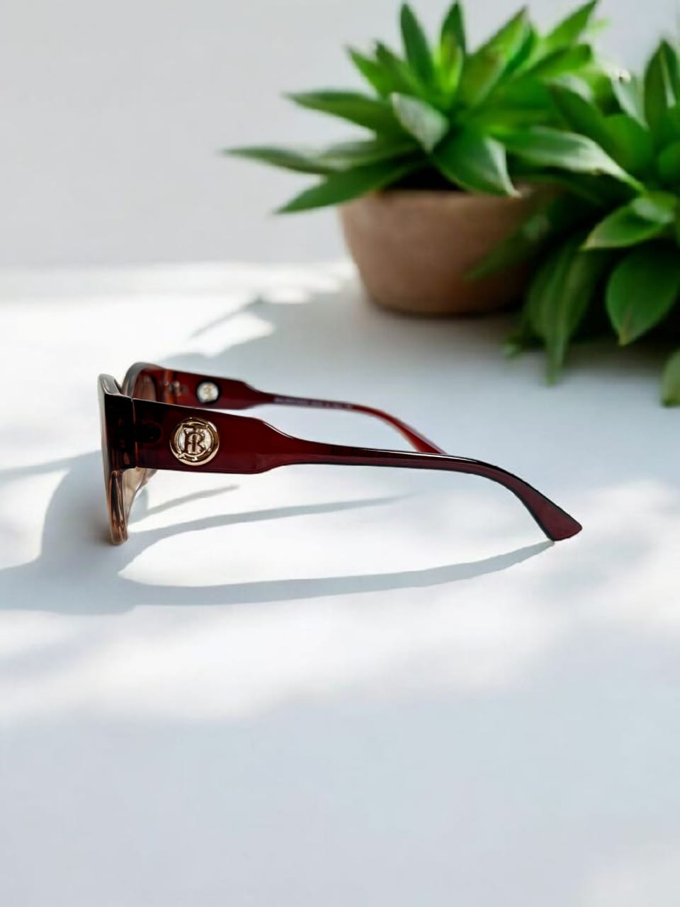 Balenciaga Brown Sunglasses